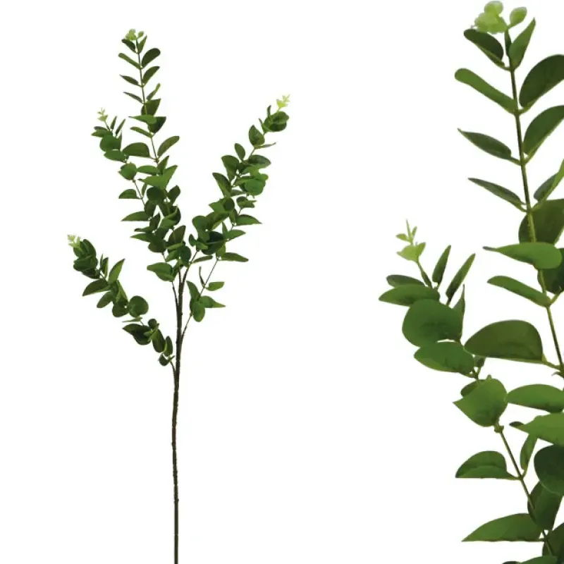 ΚΛΑΔΙ ΔΙΑΚΟΣΜΗΤΙΚΟ  ΕΥΚΑΛΥΠΤΟΣ ΠΡΑΣΙΝΟ REAL TOUCH Y97/54cm 40/240ΚΙΒ