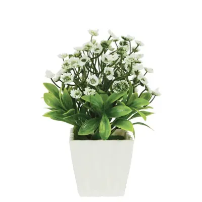 ΛΟΥΛΟΥΔΙ ΛΕΥΚΟ ΣΕ ΓΛΑΣΤΡΑΚΙ 8x20cm 1/120KIB