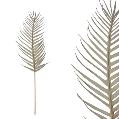 ΚΛΑΔΙ ΦΥΛΛΟ ΦΟΙΝΙΚΑΣ ΓΚΡΙ - Υ105cm 12/96KΙΒ ΚΛΑΔΙ ΦΥΛΛΟ ΦΟΙΝΙΚΑΣ ΓΚΡΙ - Υ105cm 12/96KΙΒ