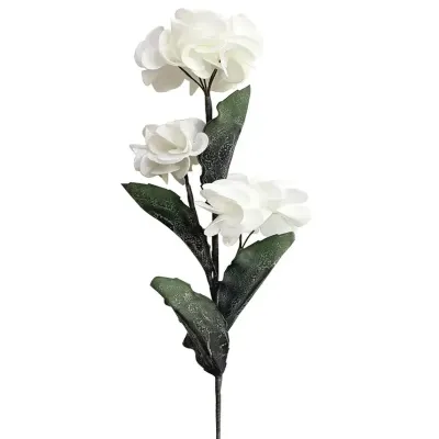 ΚΛΑΔΙ FOAM ΛΕΥΚΟ ΟΡΤΑΝΣΙΑ Χ3 ΑΝΘΗ - Φ20x95cm 8/48KIB