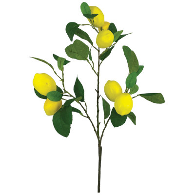 ΚΛΑΔΙ ΛΕΜΟΝΙΑΣ ΚΙΤΡΙΝΟ ΜΕ ΚΑΡΠΟΥΣ - Y62cm 12/72ΚΙΒ