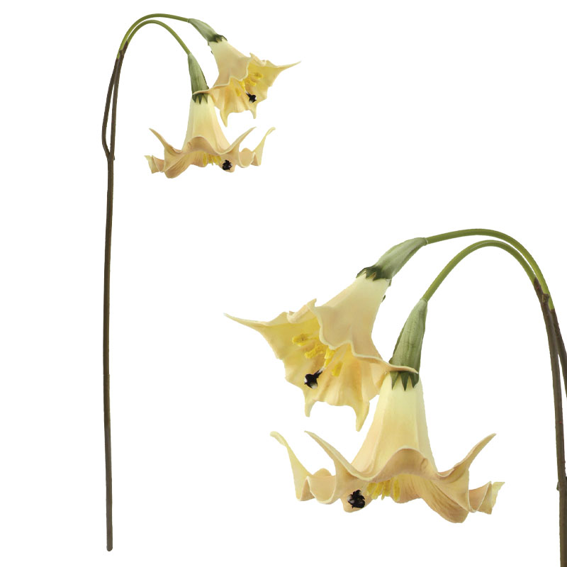 ΔΙΑΚΟΣΜΗΤΙΚΟ ΚΛΑΔΙ ΛΙΛΙΟΥΜ ΜΕ 2 ΑΝΘΗ REAL TOUCH ΜΠΕΖ - 20x14x98cm 12/72ΚΙΒ ΔΙΑΚΟΣΜΗΤΙΚΟ ΚΛΑΔΙ ΛΙΛΙΟΥΜ ΜΕ 2 ΑΝΘΗ REAL TOUCH ΜΠΕΖ - 20x14x98cm 12/72ΚΙΒ