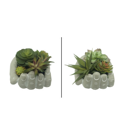 ΠΑΧΥΦΥΤΑ ΣΕ ΠΗΛΙΝΟ ΚΑΣΠΩ ΧΕΡΙ ΓΚΡΙ - 2 ΣΧΕΔΙΑ ASS - Φ13x13cm 4/24ΚΙΒ