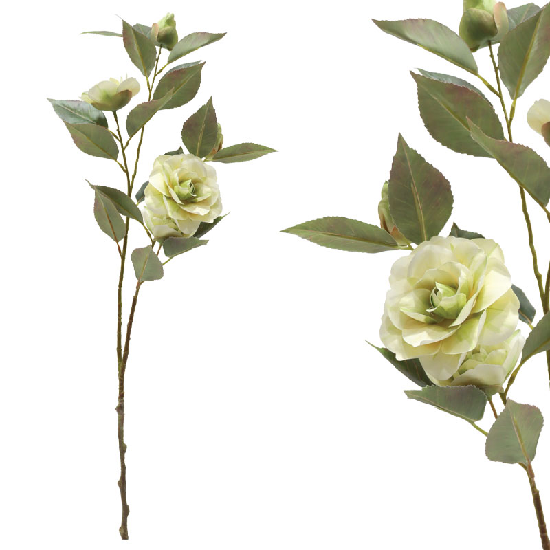 ΚΛΑΔΙ ΚΑΜΕΛΙΑΣ ΕΚΡΟΥ - 69cm 12/120ΚΙΒ