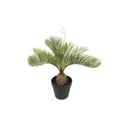 ΔΕΝΤΡΟ ΚΥΚΑΣ ΣΕ ΓΛΑΣΤΡΑ - 42x40x41cm 4/24ΚΙΒ