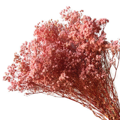 ΑΠΟΞΗΡΑΜΕΝA ΚΛΑΔΙΑ ΣΟΜΟΝ ΓΥΨΟΦΥΛΗ ΜΑΤΣΟ 100gr - Υ70-80cm 30/ΚΙΒ