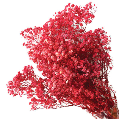 ΑΠΟΞΗΡΑΜΕΝA ΚΛΑΔΙΑ ΚΟΚΚΙΝΟ ΓΥΨΟΦΥΛΗ ΜΑΤΣΟ 100gr - Υ70-80cm 30/ΚΙΒ