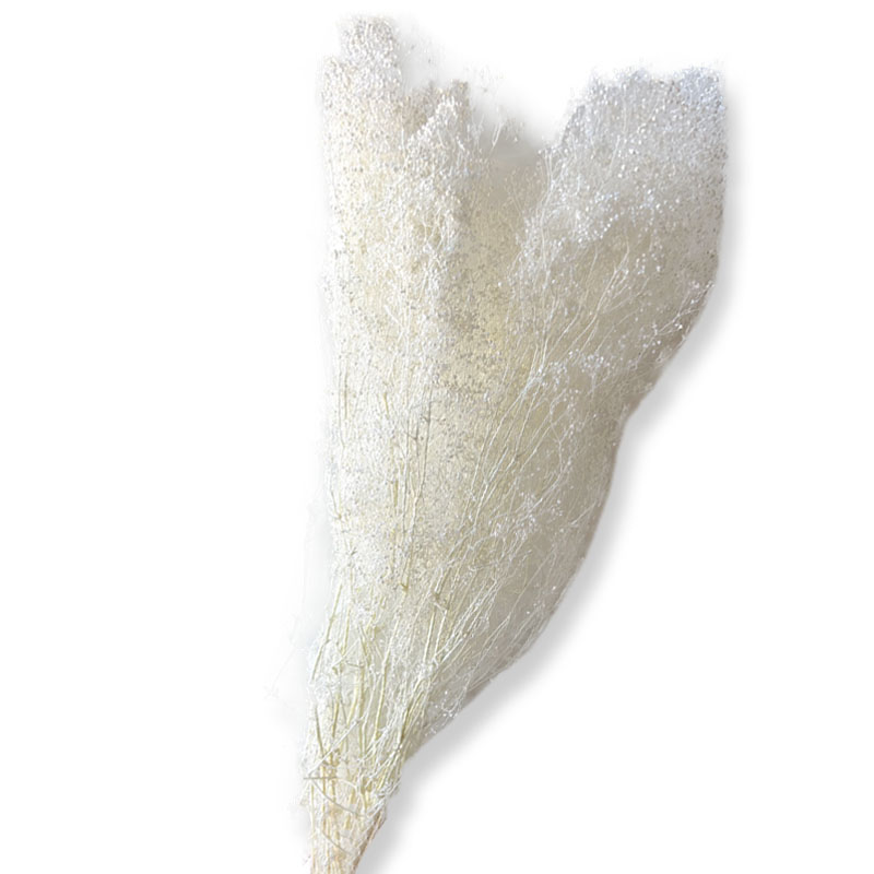 ΑΠΟΞΗΡΑΜΕΝA ΚΛΑΔΙΑ ΛΕΥΚΟ-ΕΚΡΟΥ ΓΥΨΟΦΥΛΛΗ MILLION STARS ΜΑΤΣΟ 50gr - Y75-80cm 100/ΚΙΒ