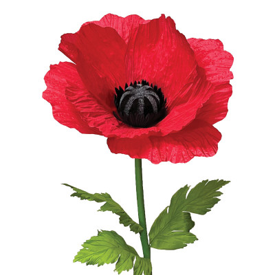 ΚΟΚΚΙΝΟ ΚΛΑΔΙ ΠΑΠΑΡΟΥΝΑ XXL - Φ55x150cm 12/ΚΙΒ