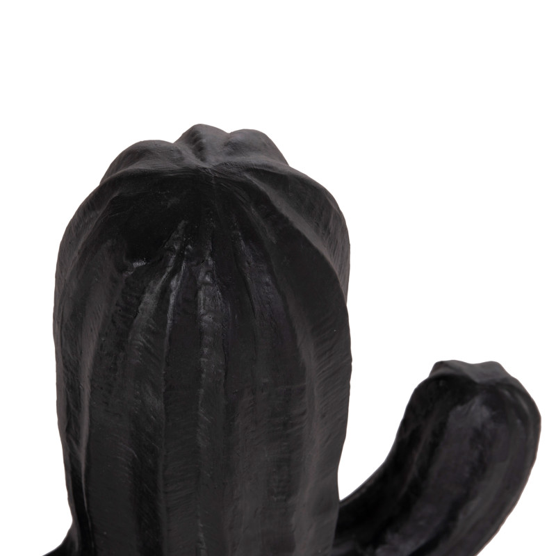 ΔΙΑΚΟΣΜΗΤΙΚΟΣ ΚΑΚΤΟΣ ΔΑΠΕΔΟΥ CACTUS HM4386.01S ΓΥΨΟΣ ΣΕ ΜΑΥΡΟ 42x30x74Υεκ.