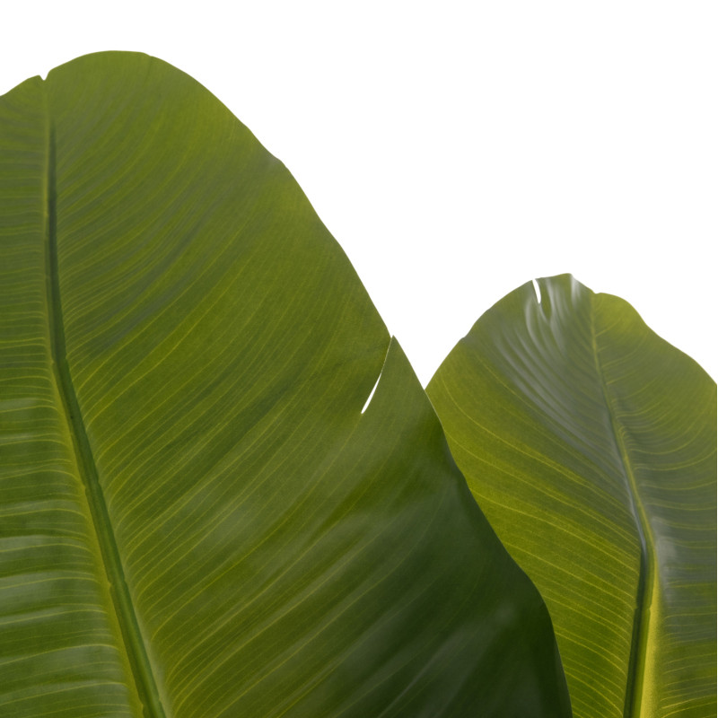 ΔΙΑΚΟΣΜΗΤΙΚΟ ΣΥΝΘΕΤΙΚΟ ΦΥΤΟ HM4739 ΣΤΡΕΛΙΤΣΙΑ ΣΕ ΓΛΑΣΤΡΑ Φ18x172Υεκ.