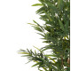 ΔΙΑΚΟΣΜΗΤΙΚΟ ΣΥΝΘΕΤΙΚΟ ΦΥΤΟ HM4737 BAMBOO ΣΕ ΓΛΑΣΤΡΑ 20x95x200Υεκ. ΔΙΑΚΟΣΜΗΤΙΚΟ ΣΥΝΘΕΤΙΚΟ ΦΥΤΟ HM4737 BAMBOO ΣΕ ΓΛΑΣΤΡΑ 20x95x200Υεκ.