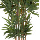 ΔΙΑΚΟΣΜΗΤΙΚΟ ΣΥΝΘΕΤΙΚΟ ΦΥΤΟ HM4737 BAMBOO ΣΕ ΓΛΑΣΤΡΑ 20x95x200Υεκ. ΔΙΑΚΟΣΜΗΤΙΚΟ ΣΥΝΘΕΤΙΚΟ ΦΥΤΟ HM4737 BAMBOO ΣΕ ΓΛΑΣΤΡΑ 20x95x200Υεκ.