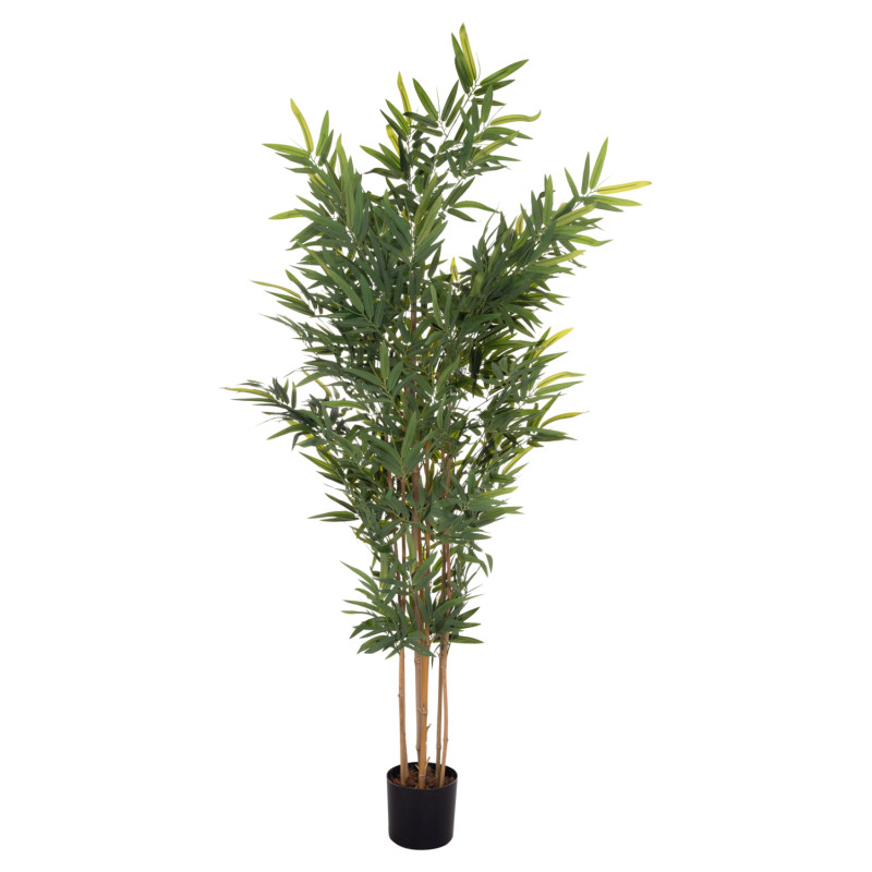 ΔΙΑΚΟΣΜΗΤΙΚΟ ΣΥΝΘΕΤΙΚΟ ΦΥΤΟ HM4737 BAMBOO ΣΕ ΓΛΑΣΤΡΑ 20x95x200Υεκ. ΔΙΑΚΟΣΜΗΤΙΚΟ ΣΥΝΘΕΤΙΚΟ ΦΥΤΟ HM4737 BAMBOO ΣΕ ΓΛΑΣΤΡΑ 20x95x200Υεκ.