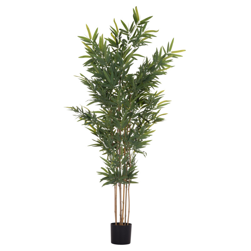 ΔΙΑΚΟΣΜΗΤΙΚΟ ΣΥΝΘΕΤΙΚΟ ΦΥΤΟ HM4737 BAMBOO ΣΕ ΓΛΑΣΤΡΑ 20x95x200Υεκ. ΔΙΑΚΟΣΜΗΤΙΚΟ ΣΥΝΘΕΤΙΚΟ ΦΥΤΟ HM4737 BAMBOO ΣΕ ΓΛΑΣΤΡΑ 20x95x200Υεκ.