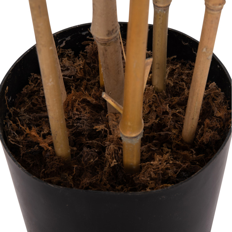ΔΙΑΚΟΣΜΗΤΙΚΟ ΣΥΝΘΕΤΙΚΟ ΦΥΤΟ HM4737 BAMBOO ΣΕ ΓΛΑΣΤΡΑ 20x95x200Υεκ. ΔΙΑΚΟΣΜΗΤΙΚΟ ΣΥΝΘΕΤΙΚΟ ΦΥΤΟ HM4737 BAMBOO ΣΕ ΓΛΑΣΤΡΑ 20x95x200Υεκ.
