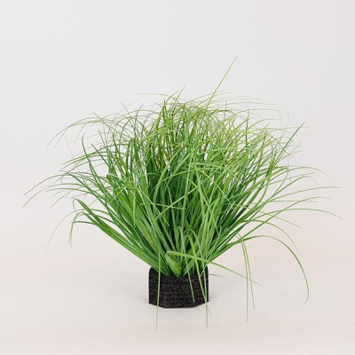 ΦΥΤΟ ΓΡΑΣΙΔΙ ΠΛΑΣΤΙΚΟ 35cm|816-40006