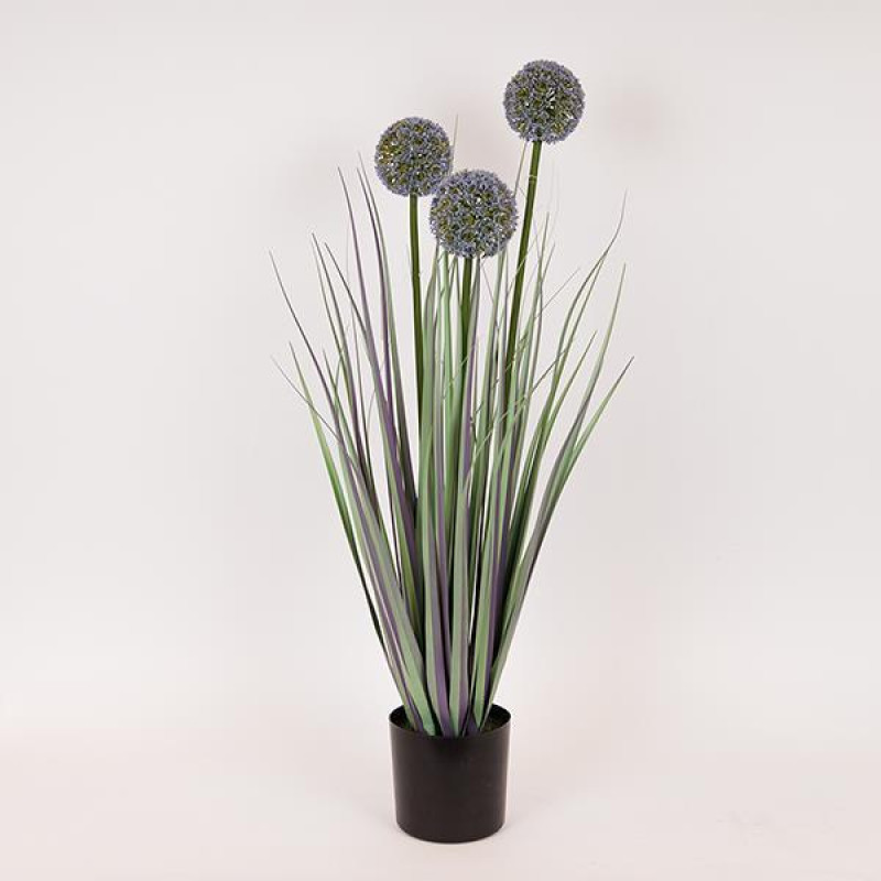 ΦΥΤΟ ΓΡΑΣΙΔΙ ΑΛΛΙΟ ΣΕ ΓΛΑΣΤΡΑ ΠΛΑΣΤΙΚΟ 80cm|816-50008