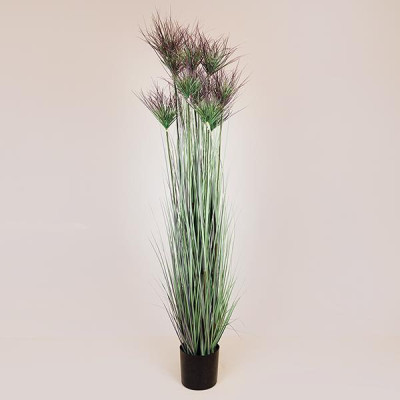 ΦΥΤΟ ΓΡΑΣΙΔΙ ΣΕ ΓΛΑΣΤΡΑ ΠΛΑΣΤΙΚΟ 183cm|816-50016