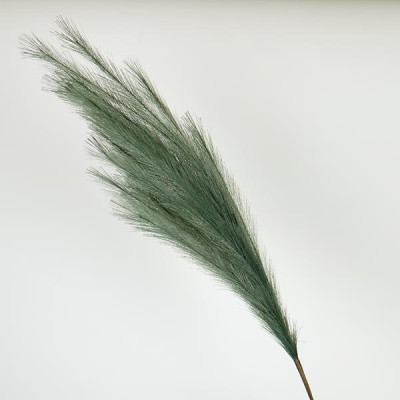 ΚΛΑΔΙ ΠΑΜΠΑΣ ΠΡΑΣΙΝΟ 112cm|758-12136