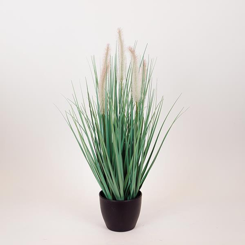 ΦΥΤΟ ΓΡΑΣΙΔΙ ΜΕ ΛΕΥΚΟ ΑΝΘΟΣ ΣΕ ΓΛΑΣΤΡΑ ΠΛΑΣΤΙΚΟ 54cm|816-50007