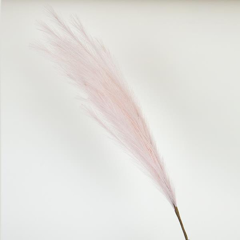 ΚΛΑΔΙ ΠΑΜΠΑΣ ΡOZ 112cm|758-12135