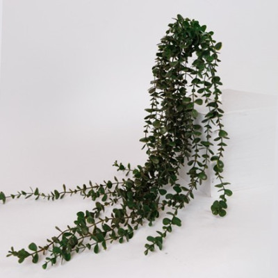 ΛΟΥΛΟΥΔΙ/ΚΛΑΔΙ ΚΡΕΜΑΣΤΟΣ ΕΥΚΑΛΥΠΤΟΣ ΠΡΑΣΙΝΟ 100cm|816-20018