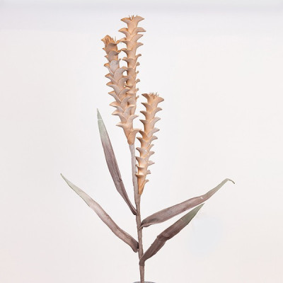 ΛΟΥΛΟΥΔΙ/ΚΛΑΔΙ FOAM ΑΛΟΪΔΕΣ ΚΑΦΕ 30x105cm|816-20047