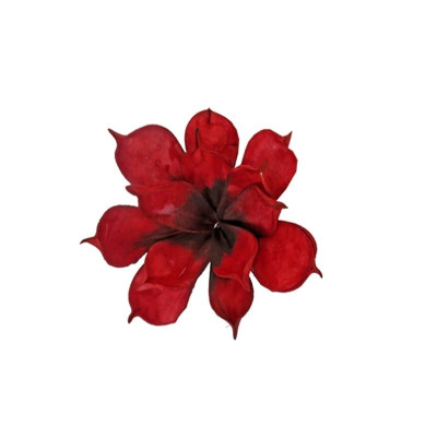 ART ET LUMIERE ΛΟΥΛΟΥΔΙ ΚΟΡΑΛΙ - SKU -07066