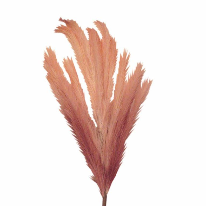 ART ET LUMIERE ΚΛΑΔΙ PAMPAS ΡΟΖ-ΛΕΥΚΟ - SKU -10640