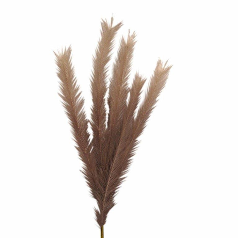 ART ET LUMIERE ΚΛΑΔΙ PAMPAS ΚΑΦΕ - SKU -10645