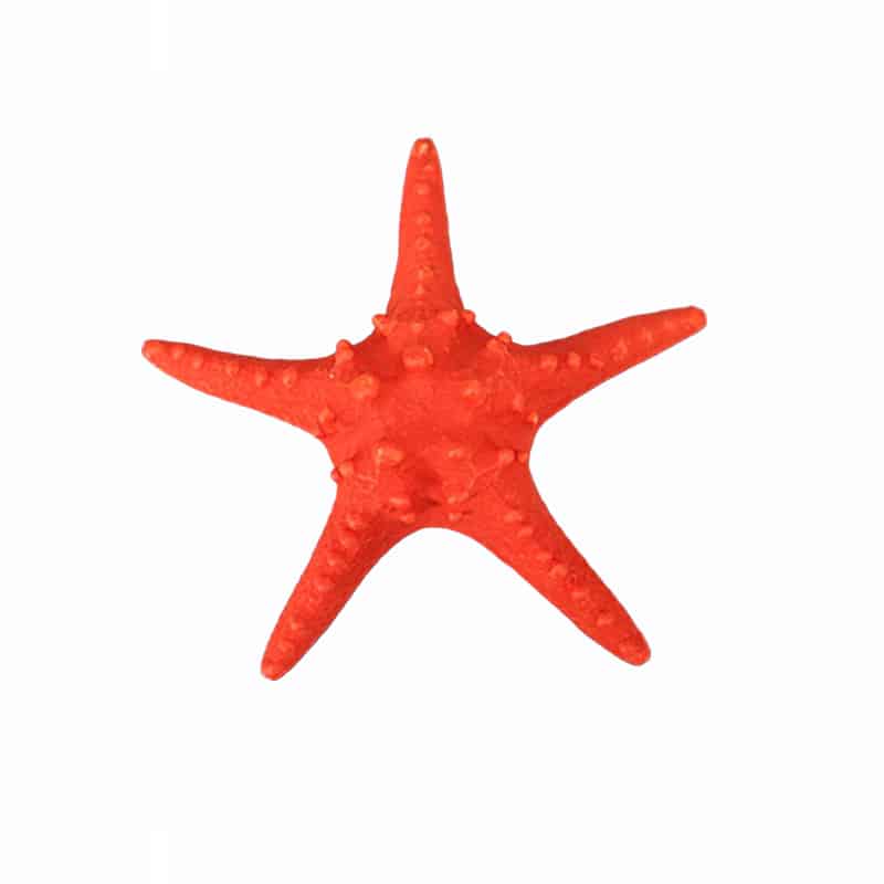 ART ET LUMIERE ΔΙΑΚΟΣΜΗΤΙΚΟΣ ΑΣΤΕΡΙΑΣ - SKU -20163