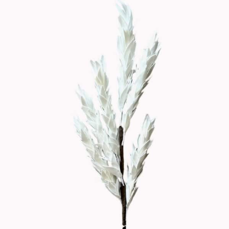 ART ET LUMIERE ΚΛΑΔΙ ΜΕ ΛΟΥΛΟΥΔΙΑ ΛΕΥΚΑ - SKU -10836