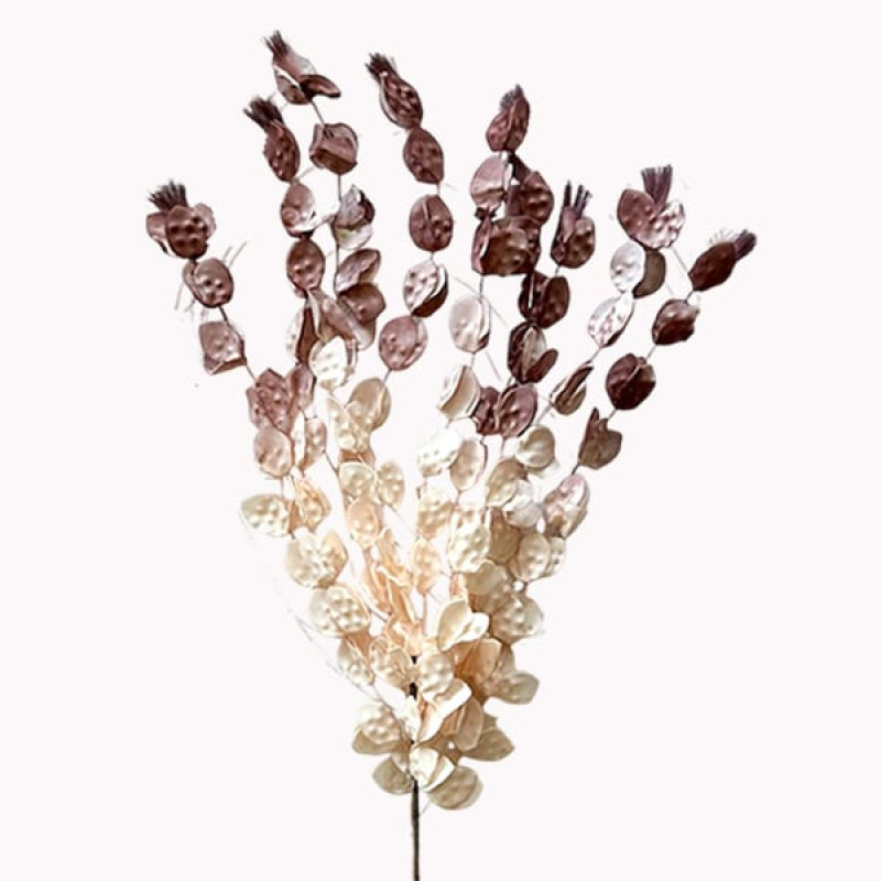 ART ET LUMIERE ΚΛΑΔΙ ΜΕ ΛΟΥΛΟΥΔΙΑ ΙΒΟΥΑΡ-ΚΑΦΕ - SKU -10861