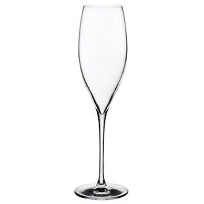DIS. NUDE TERROIR CHAMPAGNE S/6 310CC H: 25.5CM P/480 GB6.OB24. NU66098-6
