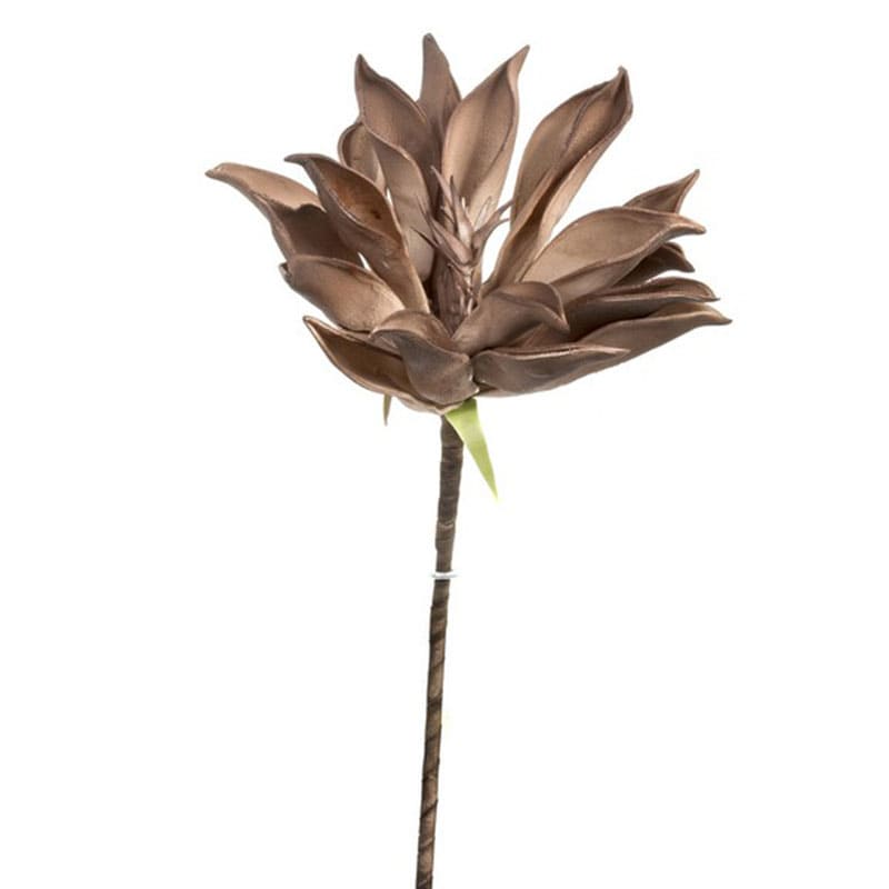 Artekko Artekko Διακοσμητικός Τεχνητός Καφέ Λωτός 63cm 304-2050