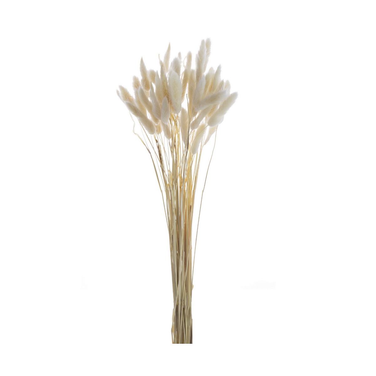 Artekko Artekko Pampass Μπουκέτο με Λευκό Πάμπας (20x20x45)cm 411878-WHIT-AB