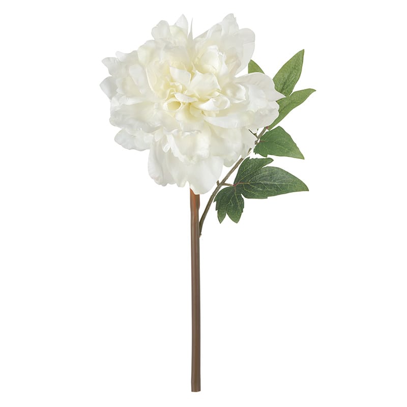 Artekko Artekko Faux Λευκή Τεχνητή Πλαστική Παιώνια (20.3x12.7x35.6)cm 59997-CGRE