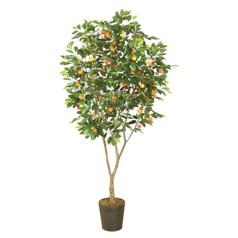 Artekko Artekko Ikau Τεχνητή Νερατζιά 200cm 6-0001