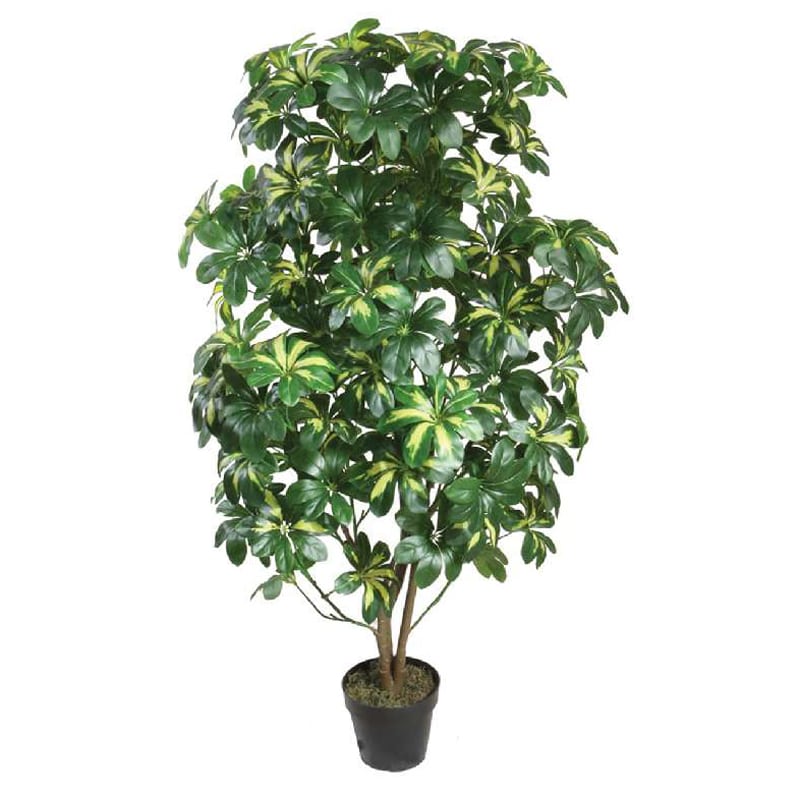 Artekko Artekko Kruer Τεχνητή Σεφλέρα 130cm 6-0036