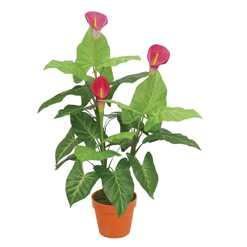 Artekko Artekko Crediu Τεχνητή Κάλλα 90cm 6-0049
