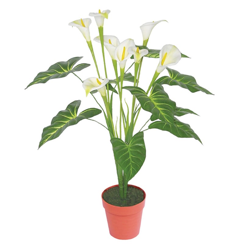 Artekko Artekko Flauvun Τεχνητή Κάλλα 90cm 6-0050