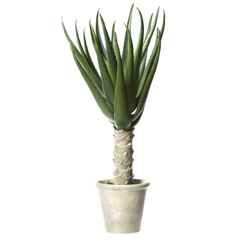 Artekko Artekko Kluzlaoth Τεχνητή Αλόη 70cm 6-0164