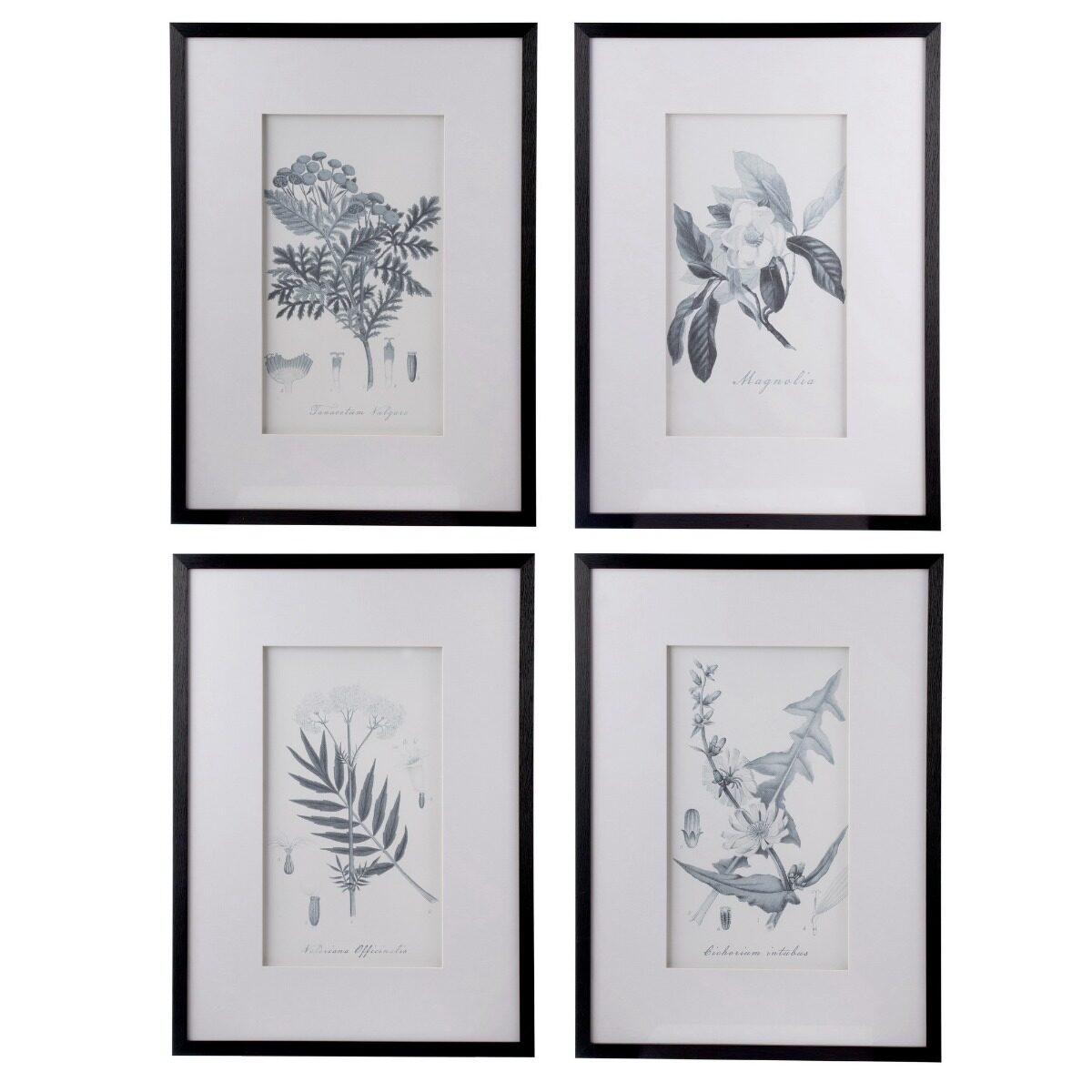 Artekko Artekko Botanical Πίνακας με Κορνίζα Πλαστικό Γυαλί Μαύρο Λευκό (50x3x70)cm Σετ/4 AV43782