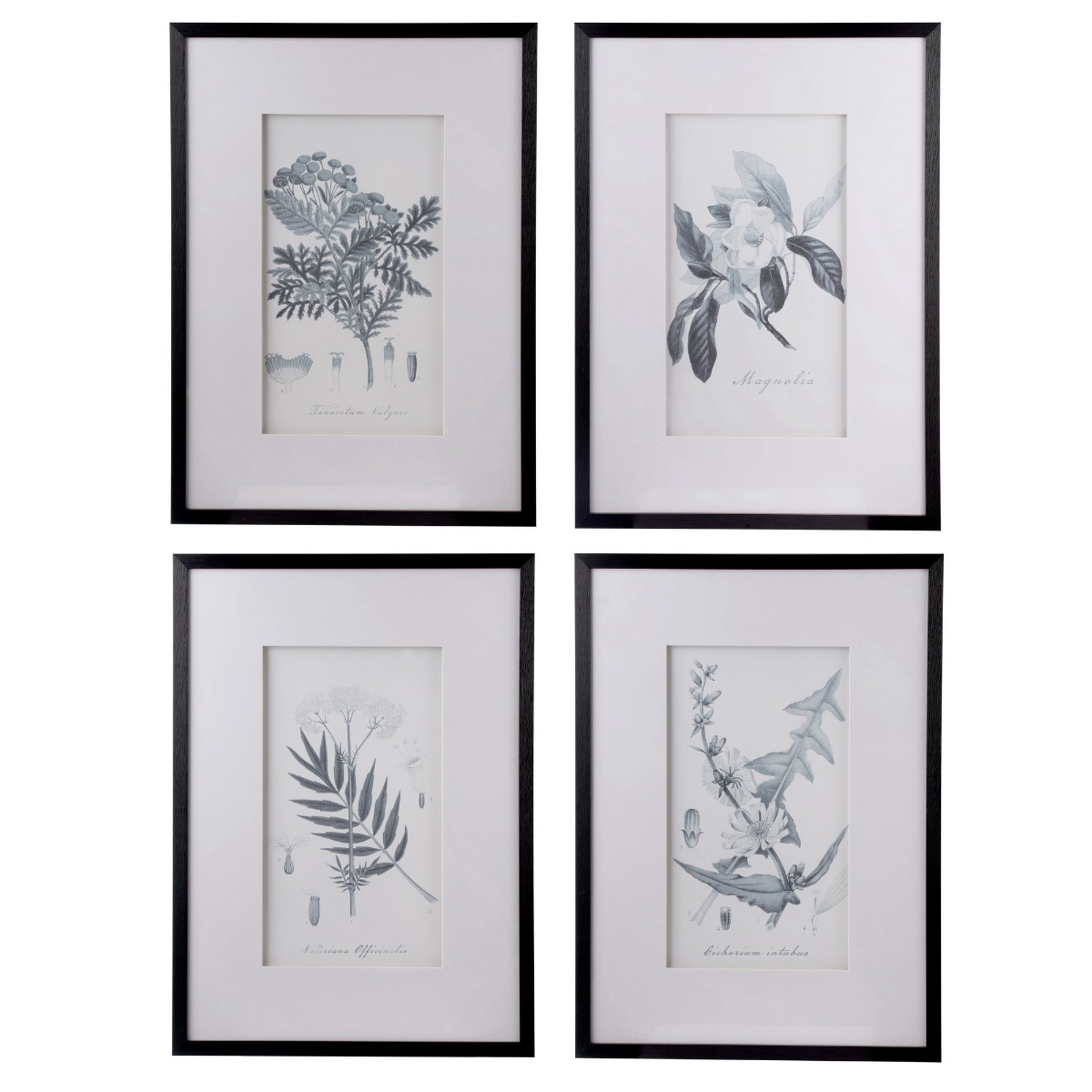 Artekko Artekko Botanical Πίνακας με Κορνίζα Πλαστικό Γυαλί Μαύρο Λευκό (50x3x70)cm Σετ/4 AV43782