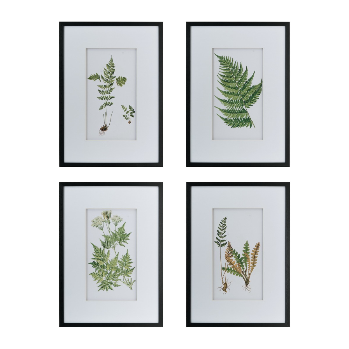 Artekko Artekko Botanical Λευκοί Πίνακες με Φυτά σε Μαύρη Κορνίζα (50x3x70)cm 4pcs AV44591