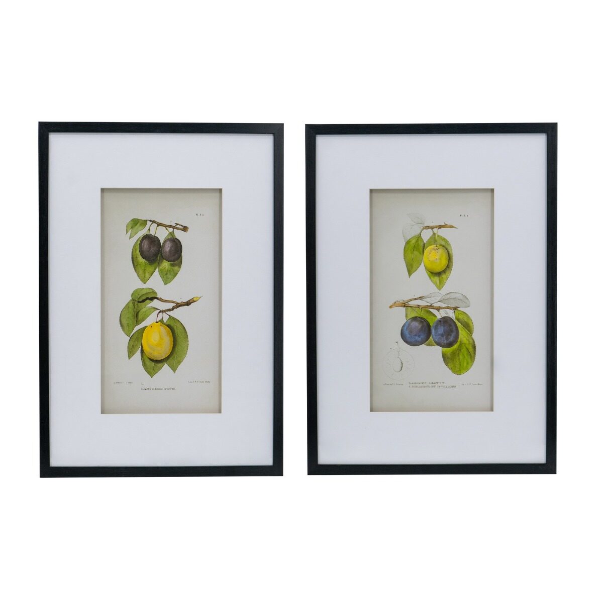 Artekko Artekko Botanical Πίνακας με Κορνίζα Πλαστικό Γυαλί Μαύρο Κίτρινο (50x3x70)cm Σετ/2 SM78453