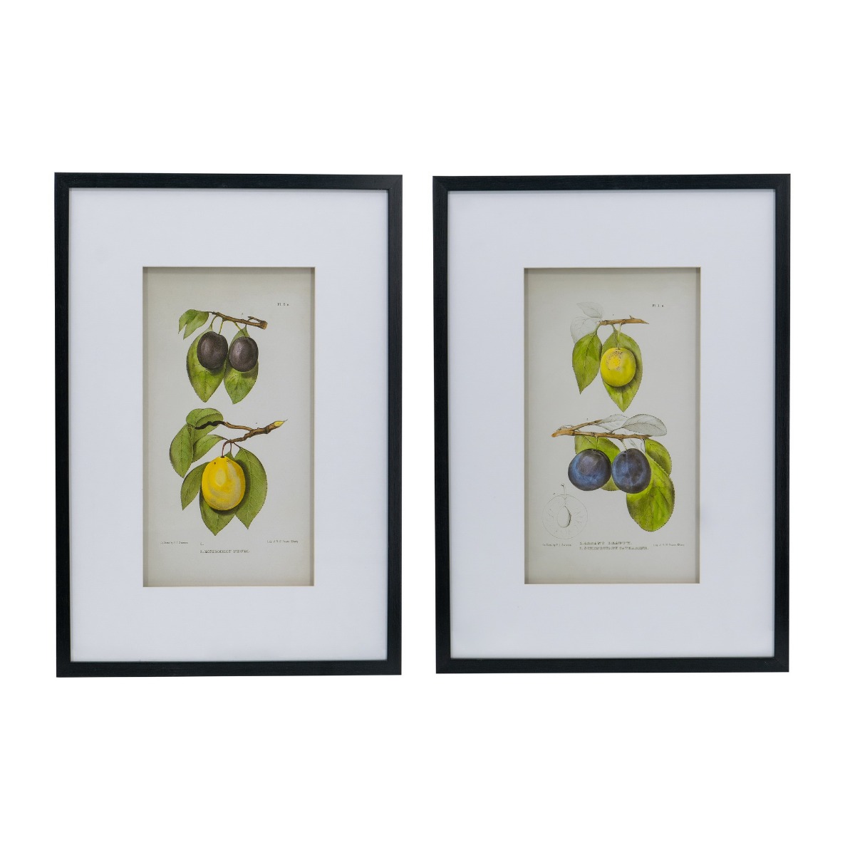 Artekko Artekko Botanical Πίνακας με Κορνίζα Πλαστικό Γυαλί Μαύρο Κίτρινο (50x3x70)cm Σετ/2 SM78453