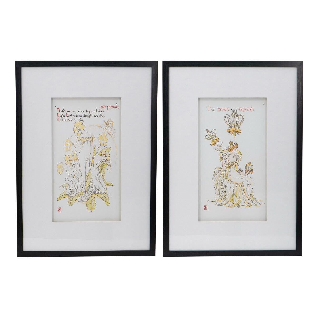 Artekko Artekko Botanical Πίνακας με Κορνίζα Πλαστικό Γυαλί Μαύρο Λευκό (50x3x70)cm Σετ/2 SM78455