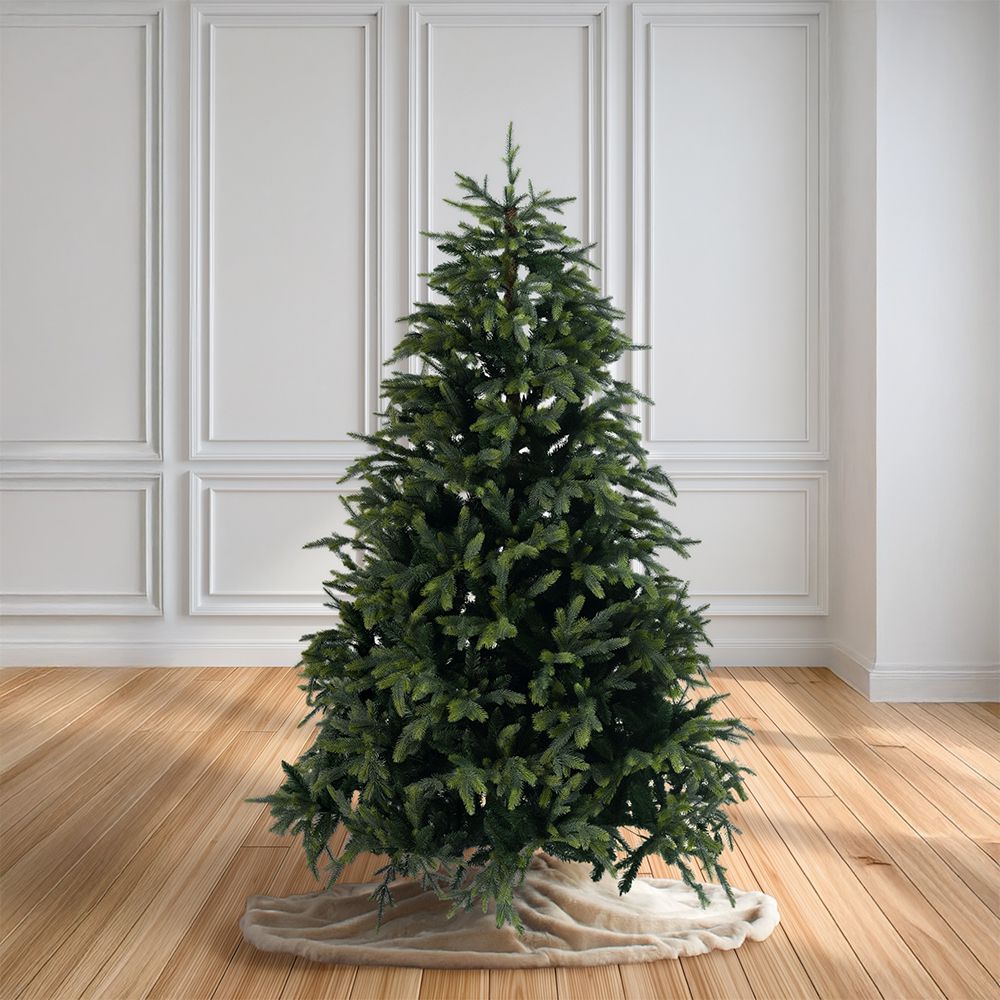 ΔΕΝΤΡΟ FRASER FIR 240ΕΚ
